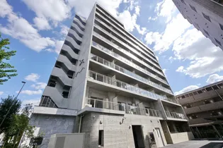 ENYAの画像