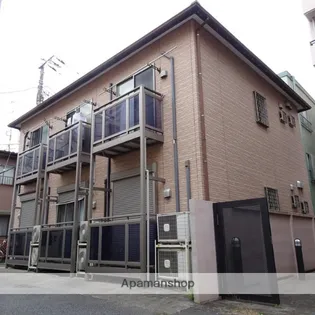 ジプソフィラの画像