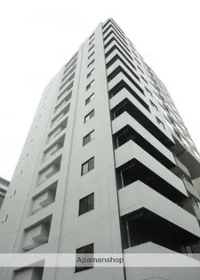 セジョリ上野の画像