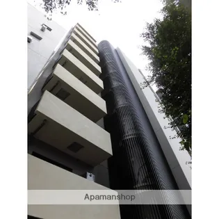 エルスタンザ文京白山【4階】の外観