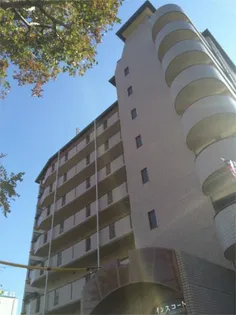 インスコートの画像