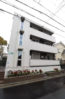 シャルマンの画像