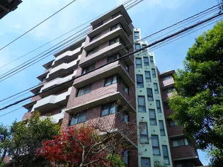 ザ・クレスト【3階】の外観