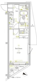 DIPS赤羽北EAST【4階】の間取り