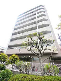 ディライトコートの画像