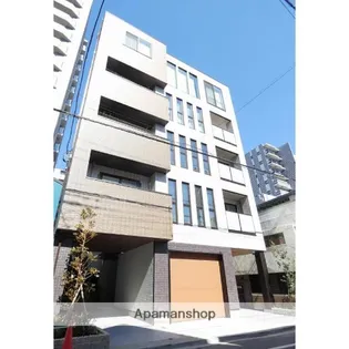 ステラ アフィーテの画像