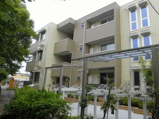 シーガルの画像