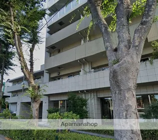 東京都練馬区関町南1丁目【マンション】の外観