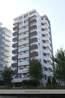 THEパームス東武練馬【11階】の外観