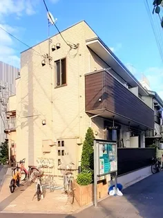 シャムロックの画像