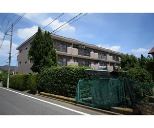 サニーコートM&Kの画像