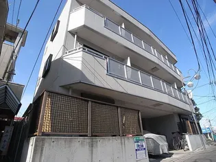 ファインコート桜の画像