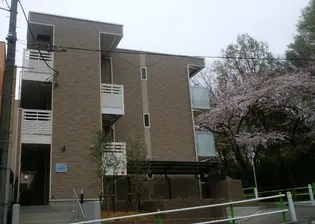 レオネクストさくらブリアン【3階】の外観