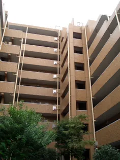 ライオンズマンション板橋中丸町【208号室】の外観