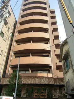 フェニックス目白五丁目【7階】の外観