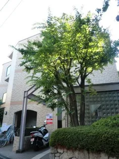 ヴィヴレコート【2階】の外観