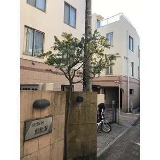セボン恵比寿【1階】の外観