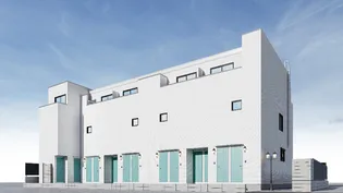 ミハス蓮根の画像