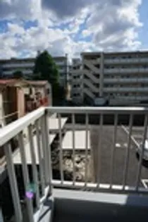 T'S GARDEN蓮根IIの画像