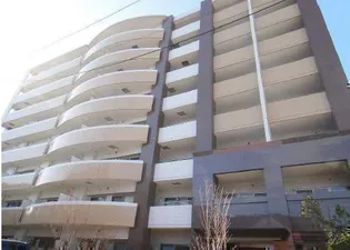 グリシーヌの画像