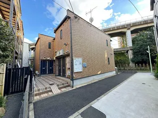 レオネクストグレイスタートルの画像