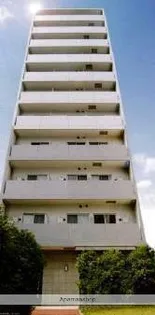 レオーネ清澄白河の画像