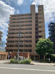 アイル313【11階】の外観