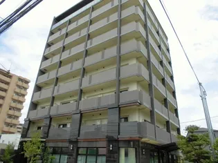 ブリスキューブの画像