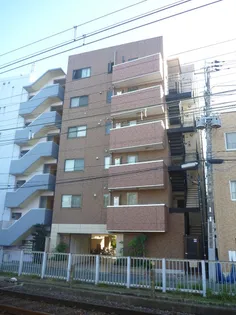 スクエアコートの画像