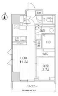 テラス森下【303号室】の間取り
