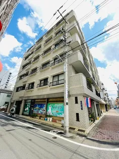 中銀上野小島マンシオン【3階】の外観