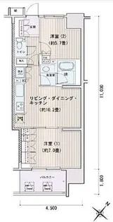 エスティメゾン豊洲レジデンスC【11階】の間取り