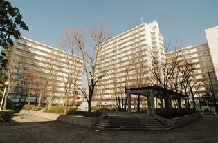 ファミリータウン東陽D棟の画像