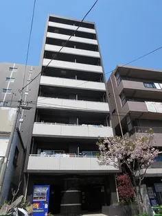 THE GRANDE REGA【5階】の外観