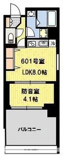 HARU【6階】の間取り