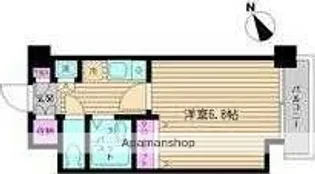 ビイルーム新宿【4階】の間取り