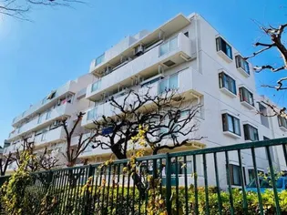 ニューハイツ豊島園【2階】の外観