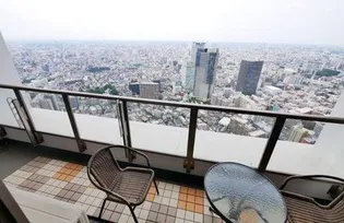 ザ・パークハウス西新宿タワー60【36階】のその他画像