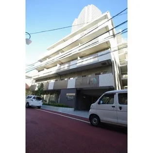 フロレスタアヤメの画像