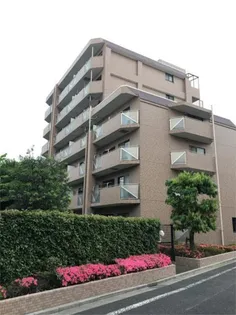 シオンデシューの画像