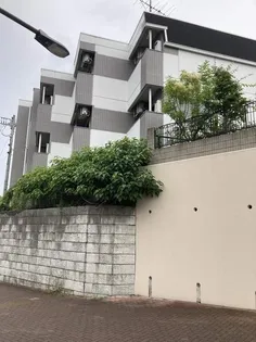 エクセレント中井【1階】の外観