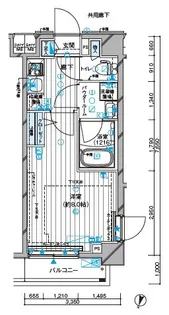 メインステージ板橋志村Ⅱ【1階】の間取り
