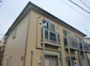 ジプソフィラの画像