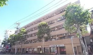 ライオンズマンション中野東【2階】の外観