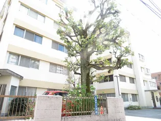 初台マンションの画像