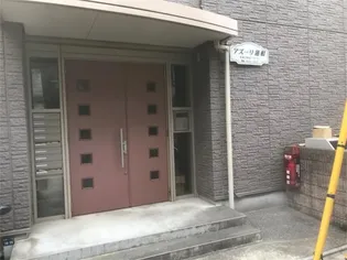 アズーリ蓮根の画像