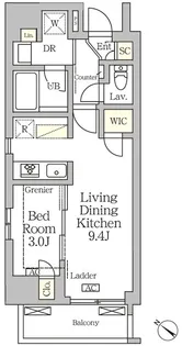 アジールコート松濤【12階】の間取り