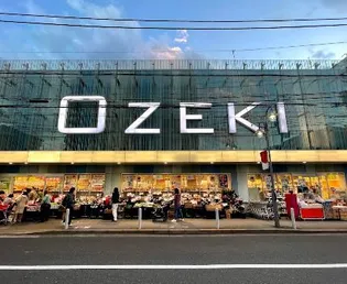 ラティエラ等々力【1階】の周辺