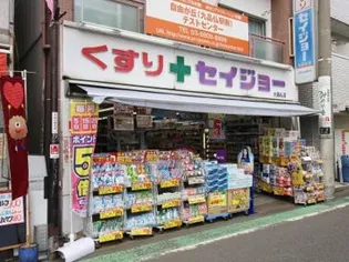 ラティエラ等々力【1階】の周辺