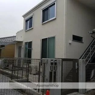 パウロニア7の画像